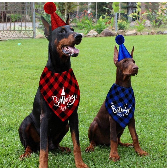 COPY - 6 Pieces Dog Birthday Party Supplies Include 2 Pieces Dog Birthday Banda… - Picture 7 of 7